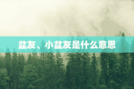 盆友、小盆友是什么意思